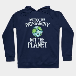 Destroy the patriarchy not the planet Hoodie